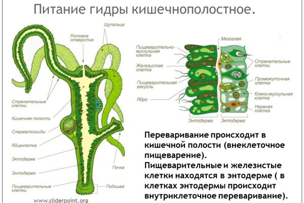 Мега омг